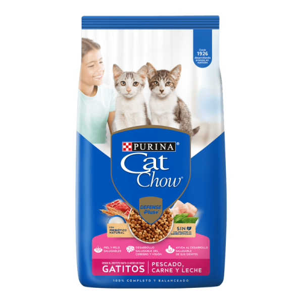 Catchow gatitos - 3kg