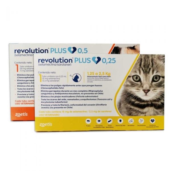 Revolution plus Gato